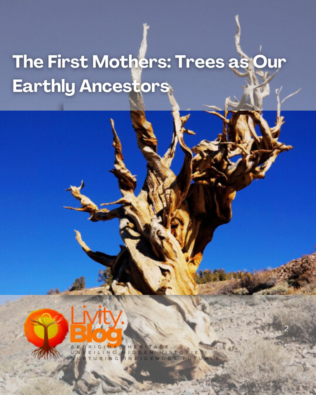 The First Mothers: Trees as Our Earthly Ancestors - Livity Tree Art