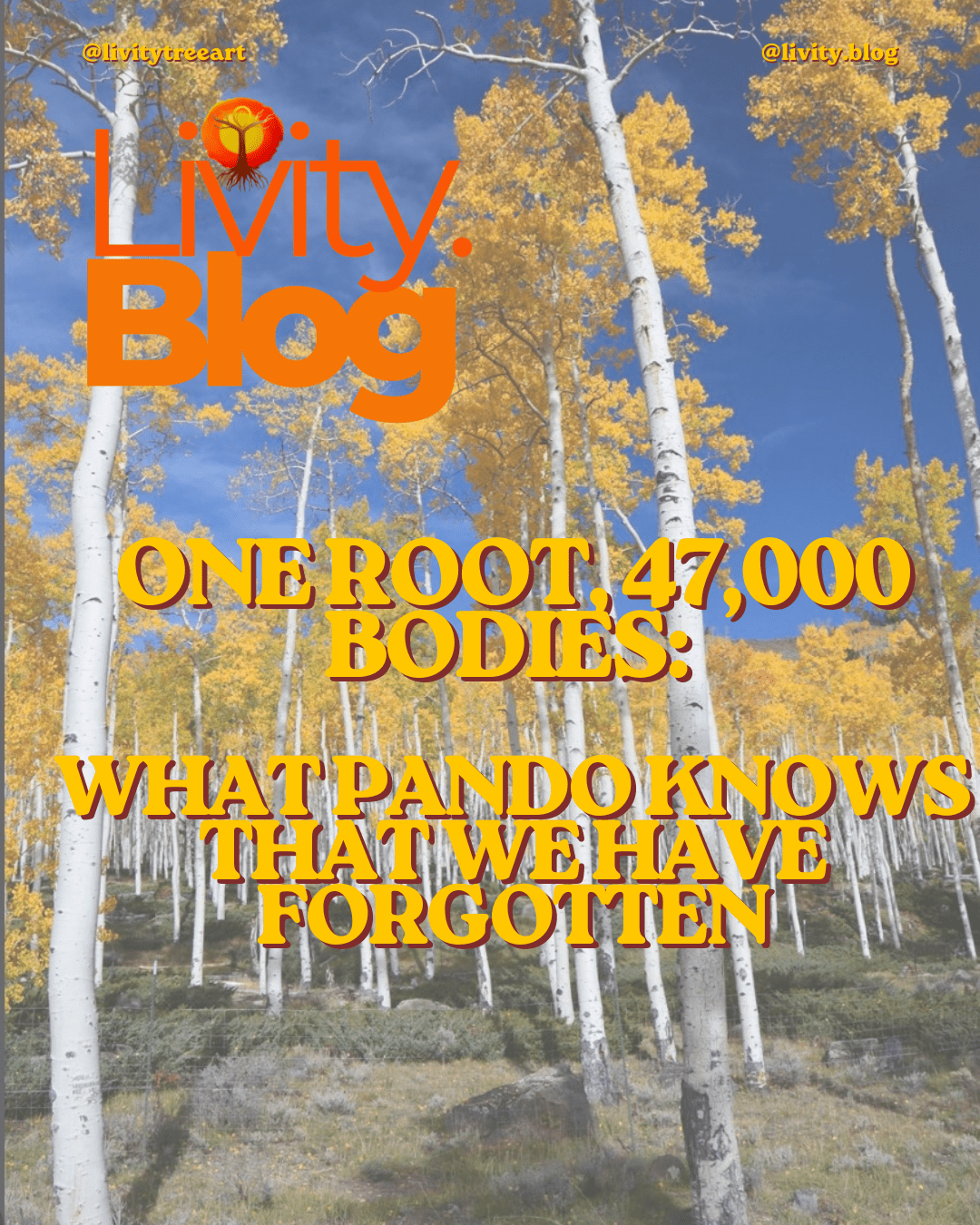 One Root, 47,000 Bodies: What Pando Knows That We Have Forgotten - Livity Tree Art
