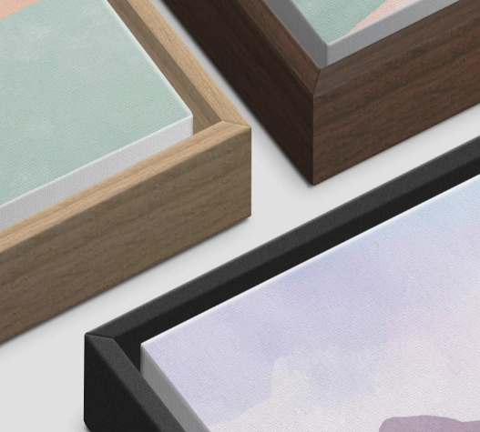 Framed Canvas Art