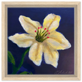 437d9298-4cbb-40b3-a898-68bc73f026da