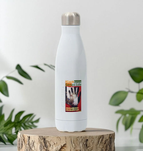 Black Native Genocide Stainless Steel Bottle - Livity Tree Art