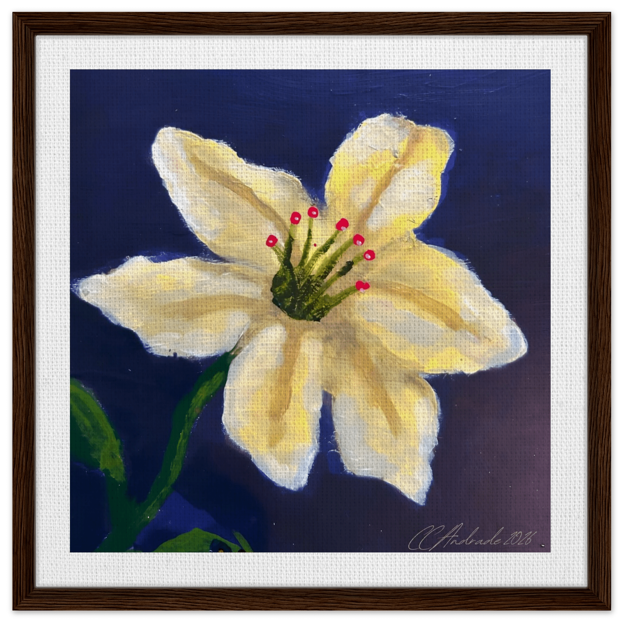 Cape Verdean Hibiscus Framed Canvas - Livity Tree Art