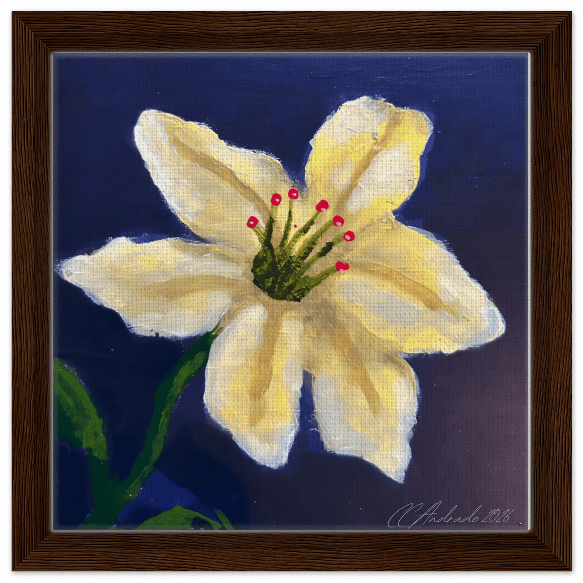Cape Verdean Hibiscus Framed Canvas - Livity Tree Art