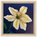 Cape Verdean Hibiscus Framed Canvas - Livity Tree Art