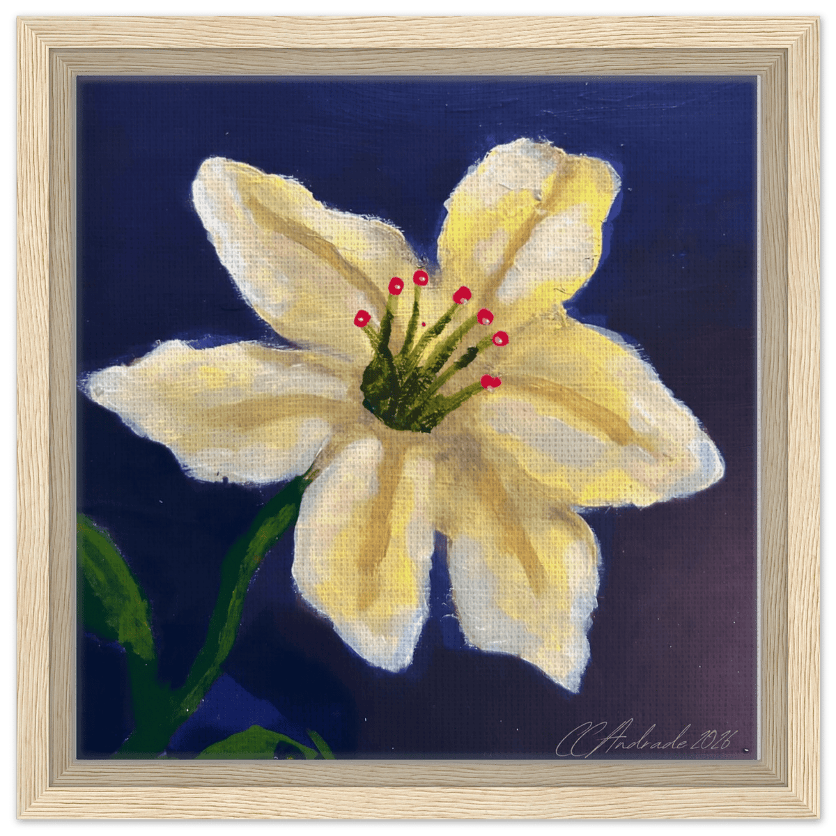 Cape Verdean Hibiscus Framed Canvas - Livity Tree Art