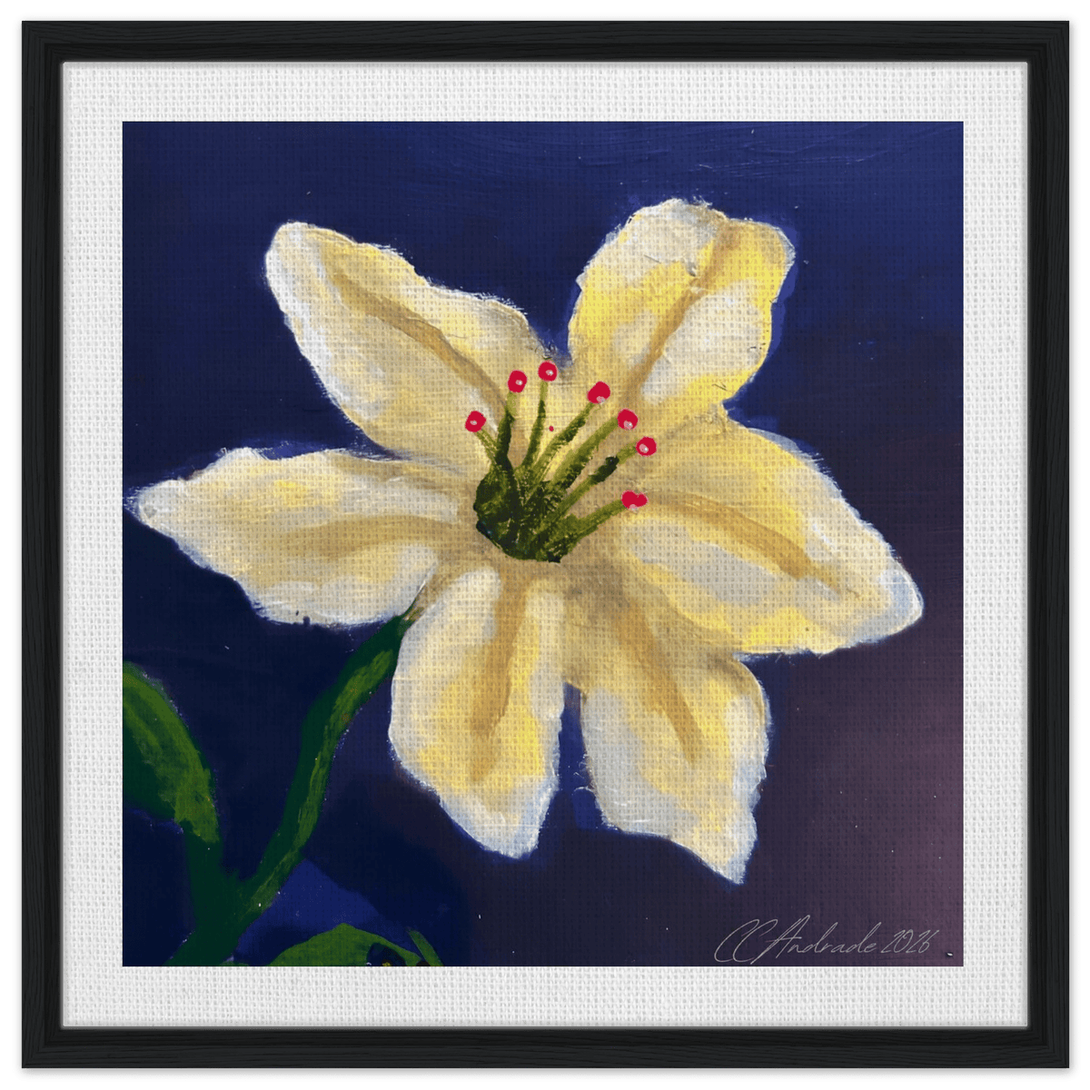 Cape Verdean Hibiscus Framed Canvas - Livity Tree Art