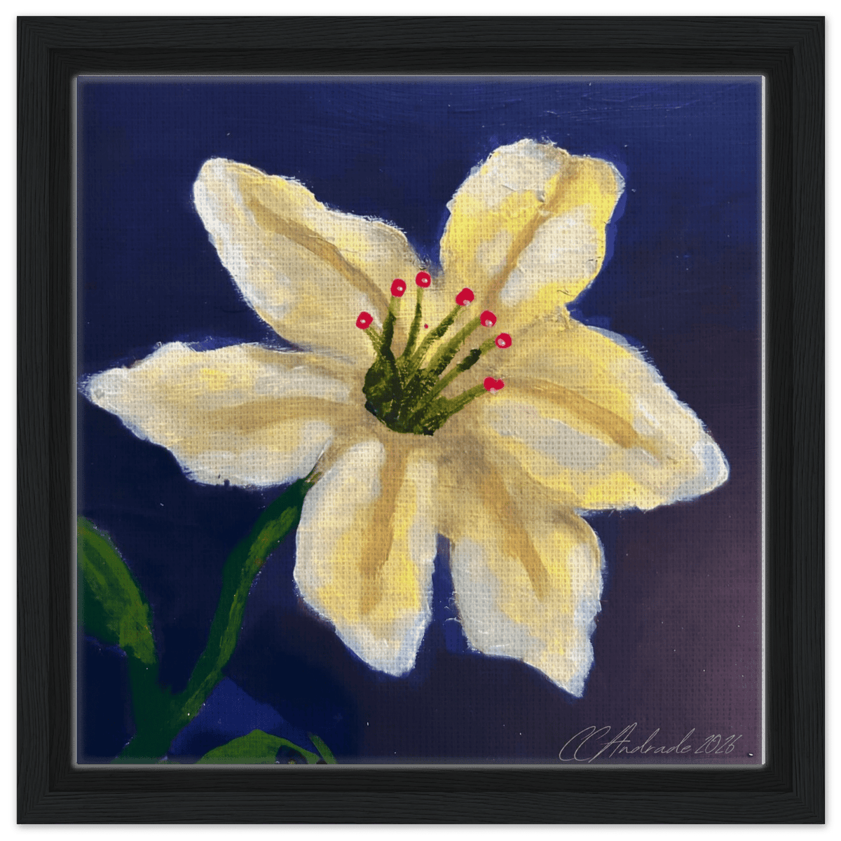 Cape Verdean Hibiscus Framed Canvas - Livity Tree Art