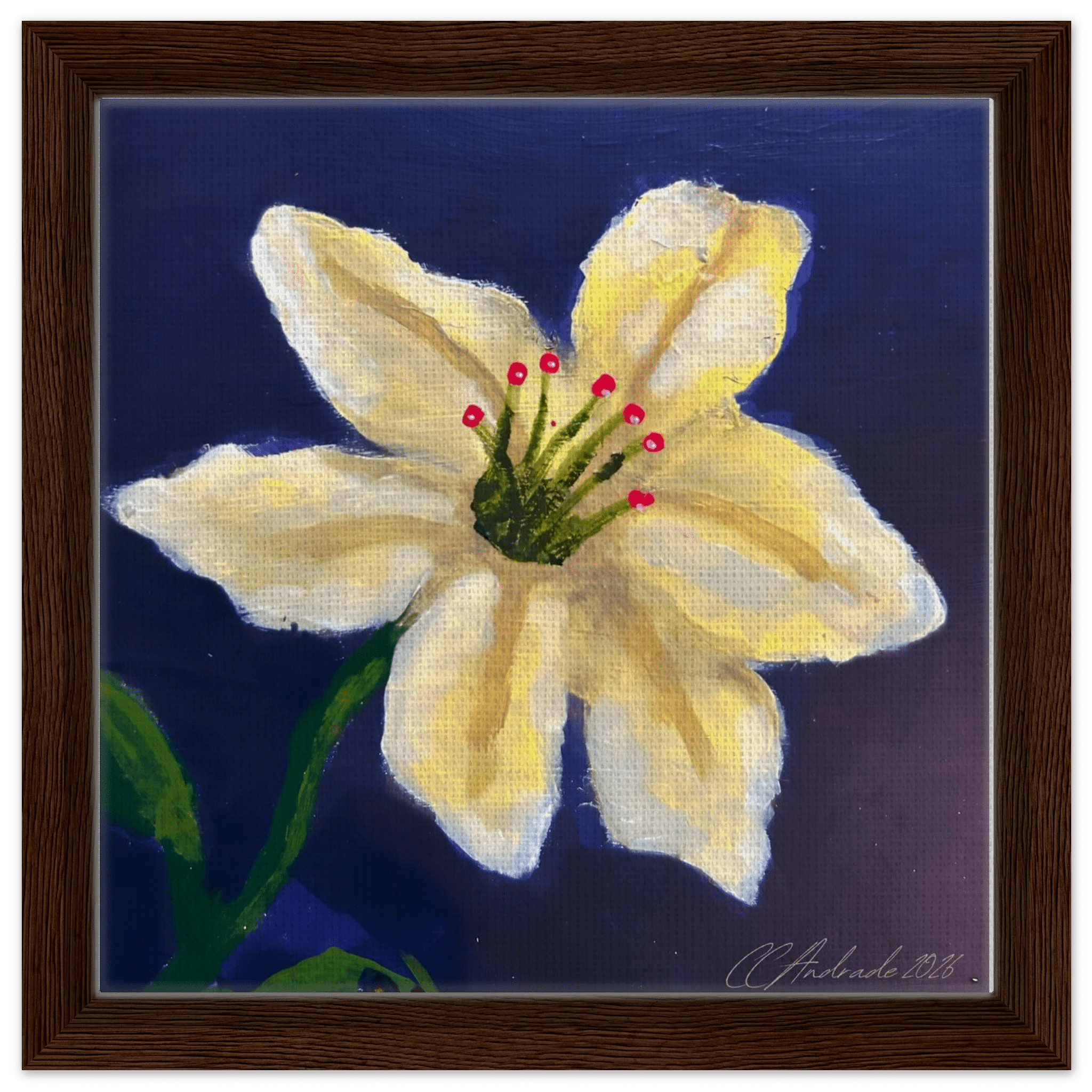 Cape Verdean Hibiscus Framed Canvas - Livity Tree Art
