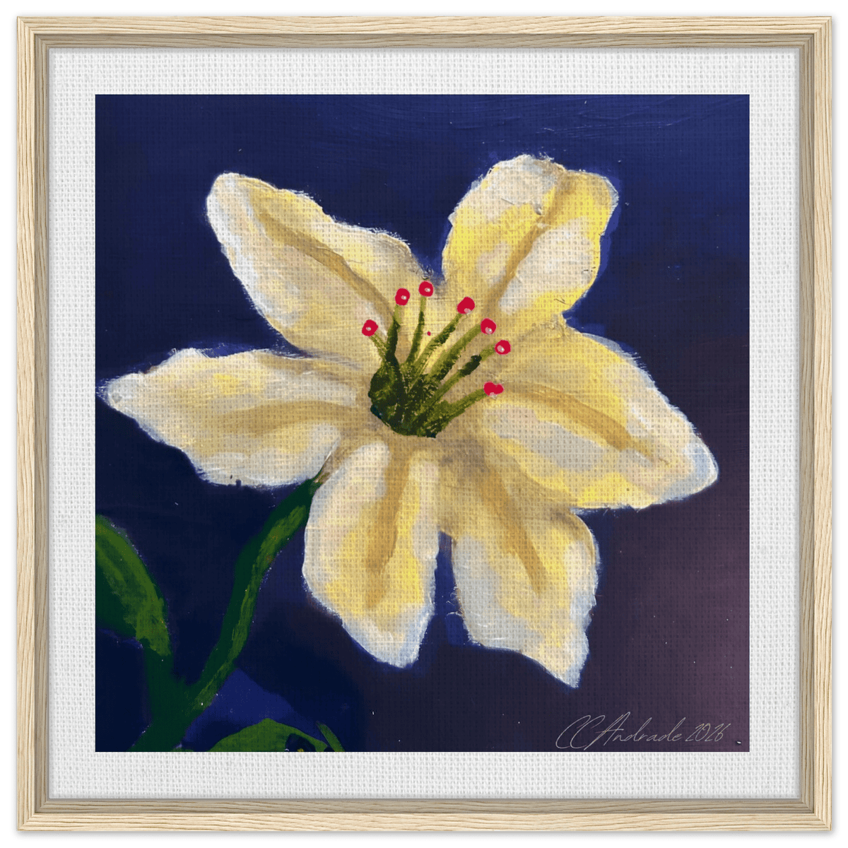 Cape Verdean Hibiscus Framed Canvas - Livity Tree Art