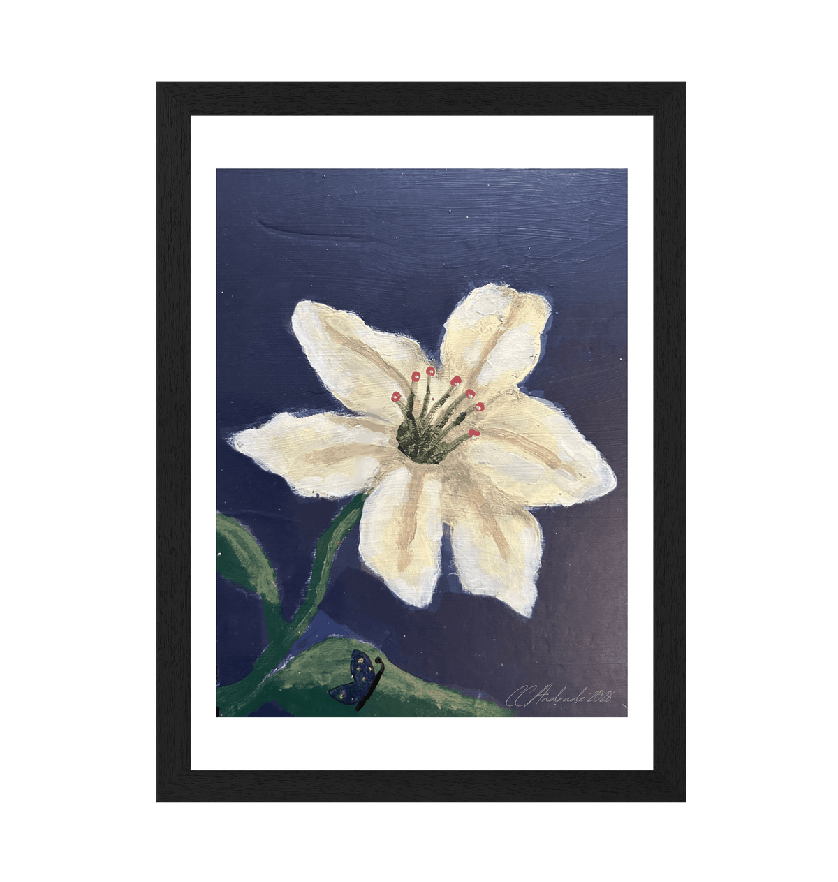 Cape Verdean Hibiscus - Charlie Andrade